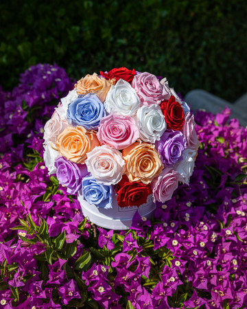 Glamour Mix Color Roses Eternal