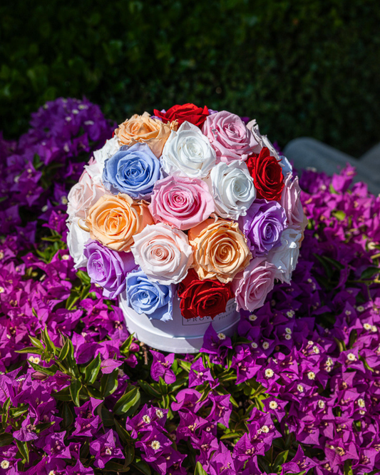 Mélange de couleurs glamour Roses éternelles