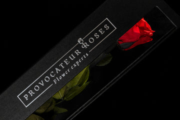 Le rouge qui a marqué l'histoire