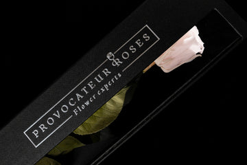 Subtle beauty that transcends