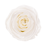 White Pearl Infinite Rose Box