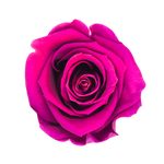 Rouge Énigmatique Lujo