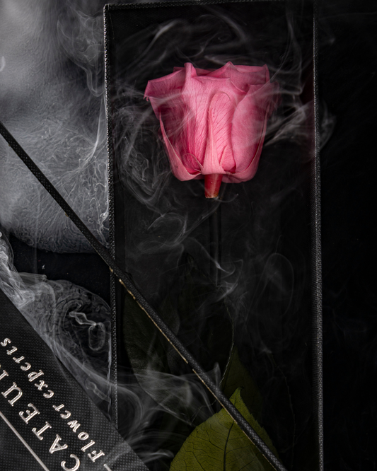 Eternity Bridal Pink Rose