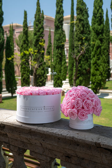 Une histoire captivante