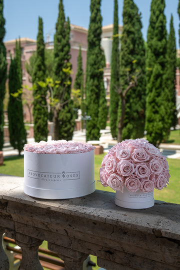 Historia que cautiva