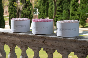 Simbolismo y significado