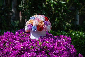 Historia que cautiva