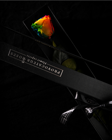 Eternity Rainbow Rose