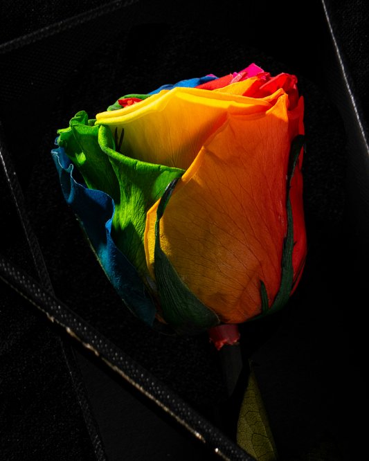 Eternity Rainbow Rose