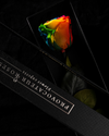 Eternity Rainbow Rose