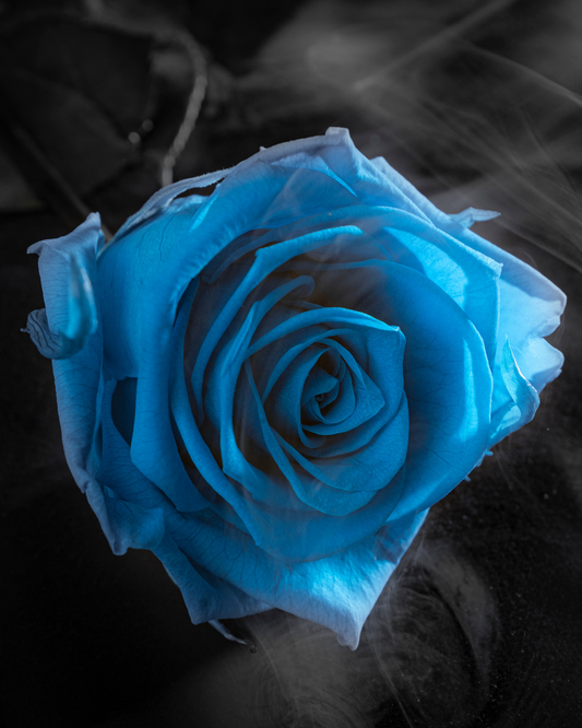 Eternity Blue Rose