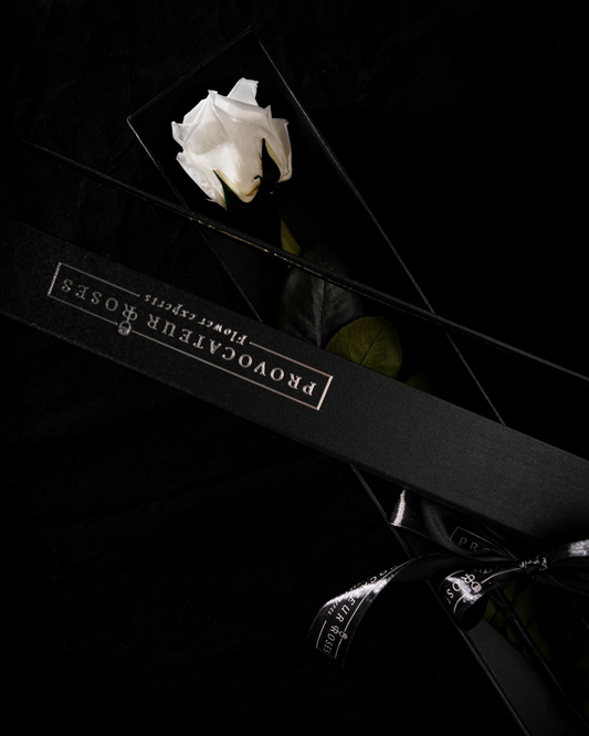 Eternity Pure White Rose