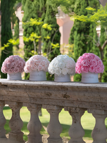 Historia que cautiva