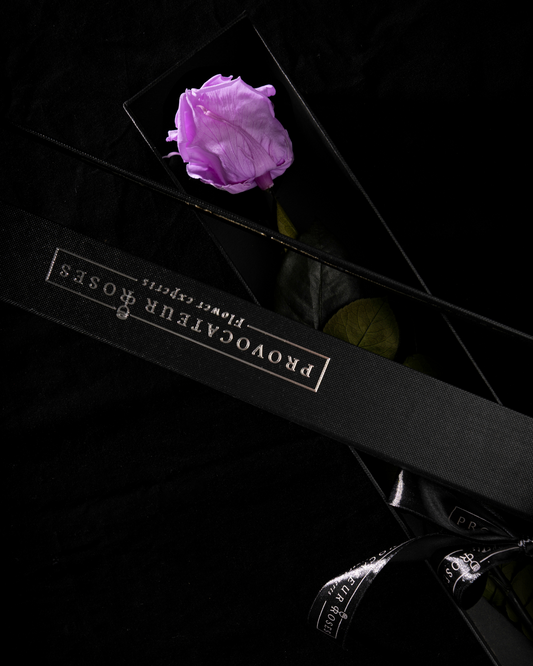 Eternity Baby Lili Rose