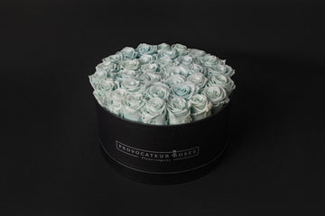 Una flor que inspira más allá del color