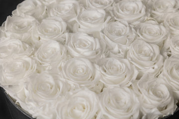 Le langage de la rose pêche