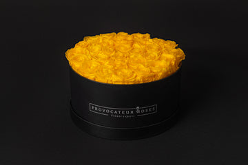 El reflejo de lo impoluto