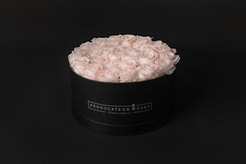 El reflejo de lo impoluto