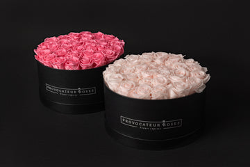 Belleza eterna y serena