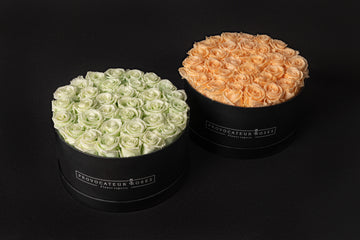 Beauty that inspires