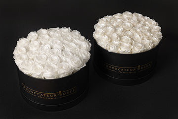 Un diseño que respira