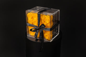 Light and joy that endure