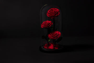 Detalles que conquistan