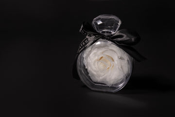 Le blanc comme langage floral