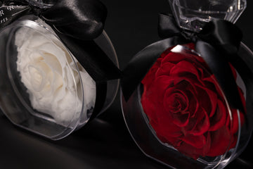 Paix, lumière et engagement éternel