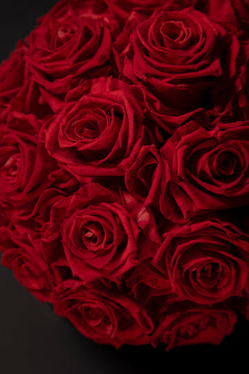 Magnetismo, feminidad y misterio