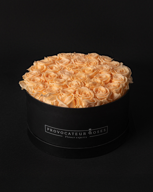 Rosas Eternas Peach