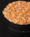 Peach Eternal Roses