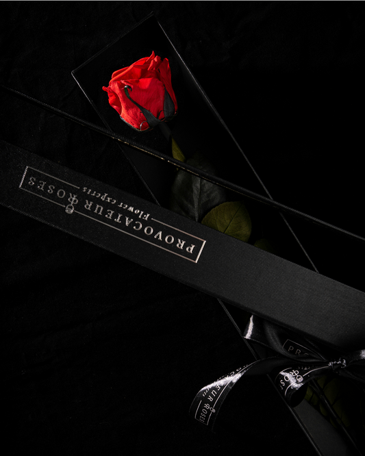 Eternity Red Rose