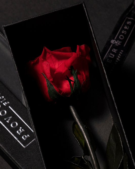 Eternity Red Rose
