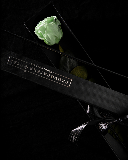 Eternity Minty Green Rose