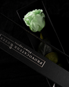 Eternity Minty Green Rose